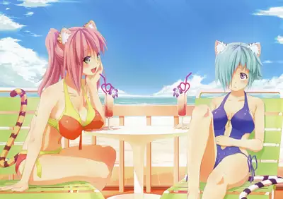 Toranoana Chronicle 2012