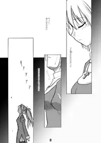 CompositionMIX 2006-2007