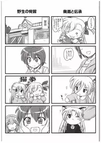 (C88) [Marchen Box (OKINA, ZAN, Shiran Takashi)] Nano-para 14 (Mahou Shoujo Lyrical Nanoha)