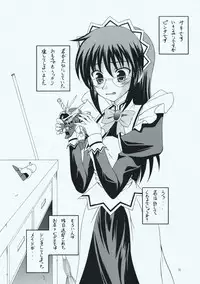 (C73) [RED RIBBON REVENGER (Makoushi, Taireru)] Maid-san tachi no Junan (Hayate no Gotoku!)