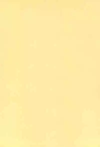 (C59) [Itaba Tatamiten (Itaba Hiroshi)] NiSeMoNo 6