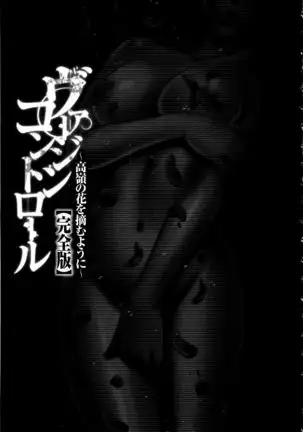 Virgin Control ~Takane no Hana o Tsumu you ni~