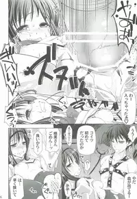 (C82) [BlackBox (Umi Kurage, Fukufukuan)] Mahou Shoujo ni Homu rareta Itsuwari (Puella Magi Madoka Magica)