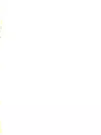 [Mengerekun (Captain Kiesel, Tacchin, Von.Thoma)] POTATO MASHER 4 (Hime-chan's Ribbon)