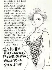 [Chirigami Goya, Fusuma go Ten (Shouji Hariko)] YYY (Dragon Ball)