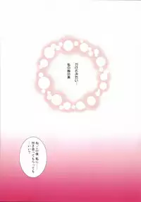 (C80) [Kurumi Namiki (Mita Kurumi)] Rui-san no Oppai no Sarani Oku Zouhoban (DREAM C CLUB)