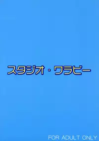 (C74) [Studio Wallaby (Shizaki Masayuki)] Ecchii no wa Suki Desu ka? 2 (To LOVE-Ru)