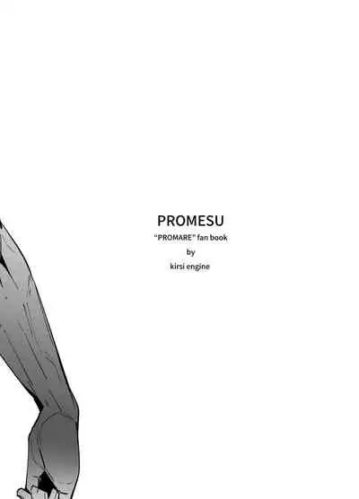 [Kirsi Engine (Kirsi)] Promesu (Promare) [English] [MegaFagget]