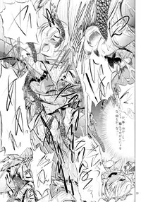 [NorthernWind] 雷ノひかり