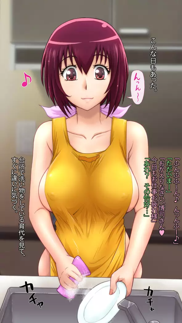 Buka Ga Jiman Shite Ita Yome O Otto No Tame To Kanchigai Sa Sete Choukyou Shite Ageta Hanashi ~ Omote ~