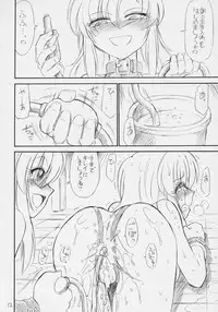 (C70) [EINSATZ GRUPPE (Charlie Nishinaka)] PRISONER 8 Miserable Birds (Gundam SEED DESTINY)