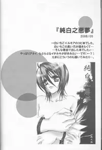 (C70) [PONCHEES (KARI) (Irohane Sui)] Rukia Kuchiki Minimum Maniax File (BLEACH)
