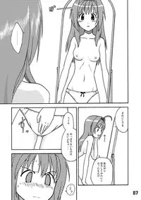 CompositionMIX 2006-2007