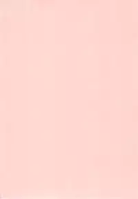 (COMIC1☆4) [Kamogawaya (Kamogawa Tanuki)] Nines SIDE-N (Mahou Shoujo Lyrical Nanoha)