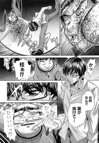 [NABURU] Kanbatsu Chitai