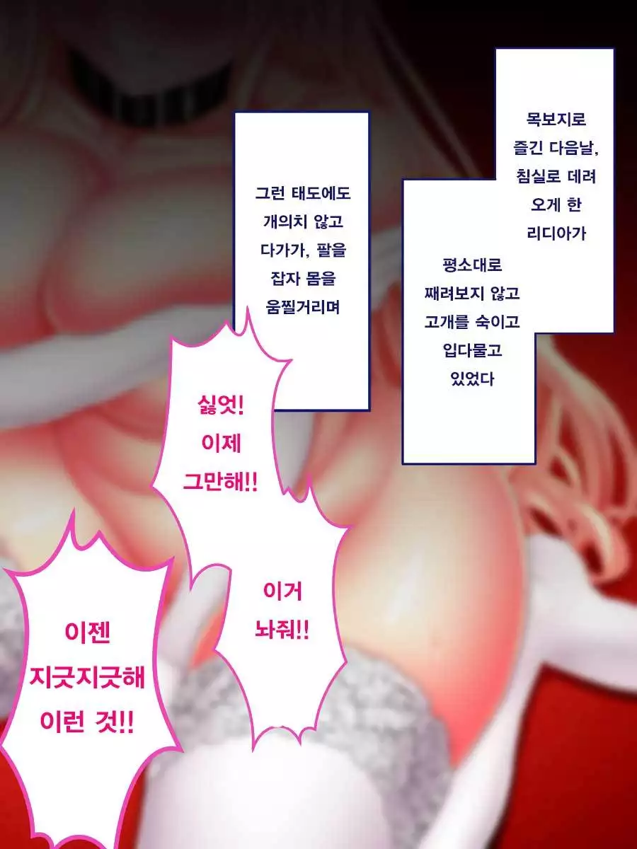 Niku Omocha ni Ochita Hime Ridia