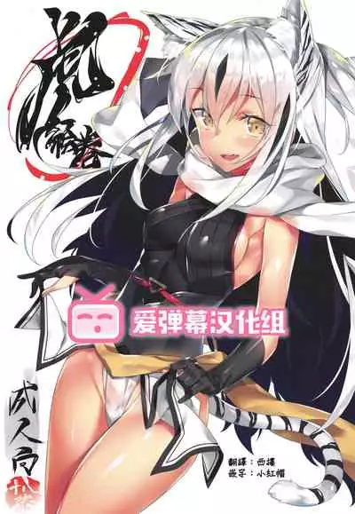 (C96) [Koito Sousakusho (Hinata Mutsuki)] Tora Emaki (Fate/Grand Order) [Chinese] [爱弹幕汉化组]