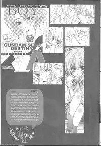 (C68) [RIRIADOLL (Takewakamaru)] MeMories (Kidou Senshi Gundam SEED DESTINY) [Incomplete]