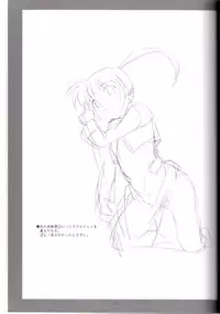 (COMIC1) [Soreya (Nishitsuki Tsutomu)] lyrical Festival! A's (Mahou Shoujo Lyrical Nanoha)