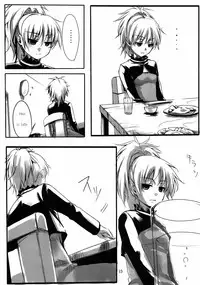 (Puniket 22) [TWILIGHT DUSK (Aikura Mahiru, Aikura Shuuya)] Yome vs Yome (DARKER THAN BLACK) [English]