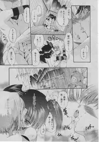 Comic Papipo 2005-07