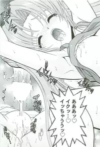 (C65) [BLUE BLOOD'S (BLUE BLOOD)] BLUE BLOOD'S vol.13 (Ys, Yumeria)