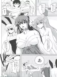 (C85) [Shouchuu MAC (Hozumi Kenji)] Poodle & Bunny Time (IS <Infinite Stratos>)
