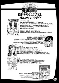 [Arsenothelus (Rebis, Chinbotsu)] Midarezaki Kaizoku Jotei (One Piece) [Digital]