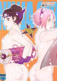 (C68) [Harem (Mizuki Honey)] Ninja Girl's Diary (Naruto)