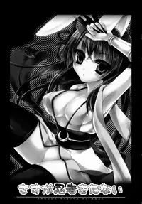 (C80) [hlz (Sanom)] Sasuga Ninjya Kitanai (Ragnarok Online)