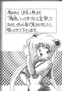 Moon Paradise 05 [Sailor Moon]