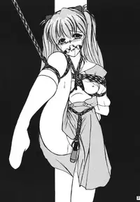 [Thirty Saver Street 2D Shooting (Maki Hideto, Sawara Kazumitsu)] Second Hobaku Project 2 (Neon Genesis Evangelion) [Digital]