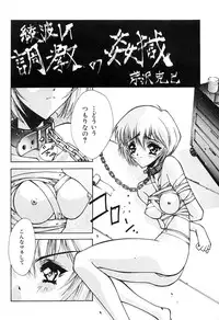 (CR21) [Blue Garnet (Serizawa Katsumi)] Blue Garnet Vol. 02 Ryoujoku (Neon Genesis Evangelion)