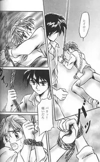 [KAMADOYA, Satellite U (Fuwa Kaduki, Oruga Susumu)] Kimyou na Kajitsu - Strange Fruits (Gundam Wing)