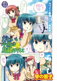 Men's Young Special Ikazuchi Vol 08