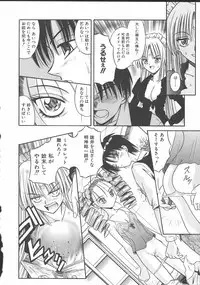 [Matra Milan] Palladium Garden