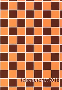 Minami datte Yuuwaku Shimasu yo?