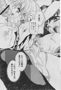 Comic Papipo 2005-07