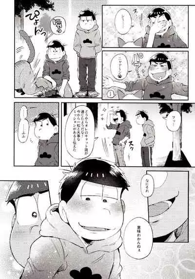 Momoiro-netsuduki Soushuuhen Sairoku