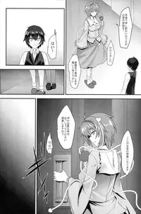 (Reitaisai 12) [Soronosanchi (Sorono)] Rinkai Meltdown (Touhou Project)