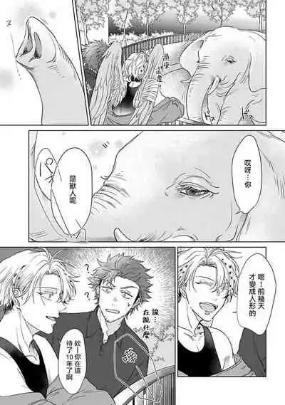 Fukurou no Koiwazurai | 猫头鹰的相思病