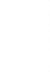 (COMIC1☆4) [Kamogawaya (Kamogawa Tanuki)] Nines SIDE-N (Mahou Shoujo Lyrical Nanoha)