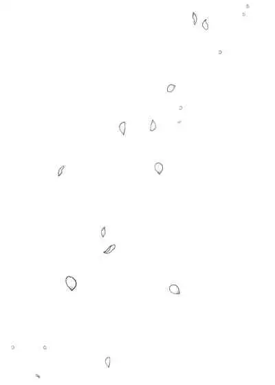 [Katsura Airi] Karami Zakari vol. 3 | 醒時同交歡 vol. 3 [Chinese] [禁漫漢化組]