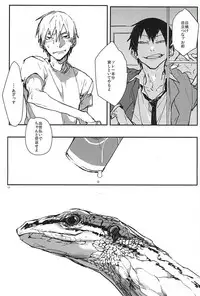 (Sakamichi Climb! Sapporo 5) [hi-ha! (H*anal)] Sakasama Ookami Gekirin ni Kiss [Jo] (Yowamushi Pedal)