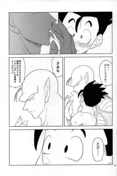 (C95) [Tousoku Chokusen Undou (Pain)] Hakuchuumu (PHan Sairoku Vol. 1) (Dragon Ball Z)