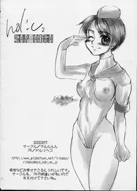 (C62) [Sarurururu (Doru Riheko)] Holic 2 Sky High (Street Fighter)