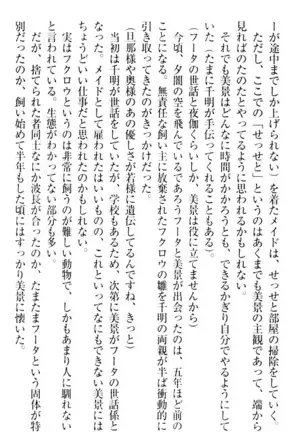 年上メイドの新婚日記