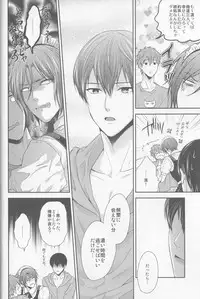 (HaruCC19) [Karaage of the Year (Karaage Muchio)] Aishite Warui Iruka-chan (Free!)