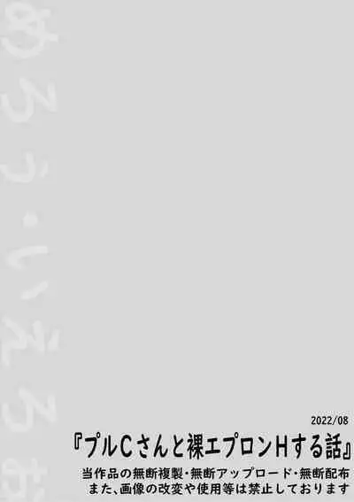 [Mello Yello] (100-yen de) Ple Clone-san to Hadaka Apron H suru Hanashi (Hadaka Apron H) (Gundam ZZ)