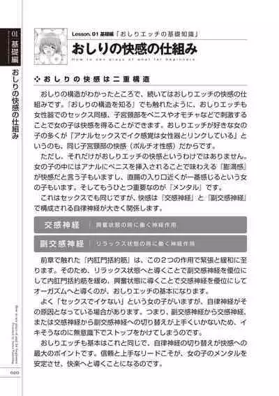 いますぐデキる 図説おしりエッチマニュアル